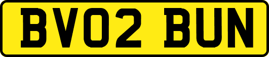 BV02BUN