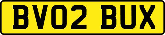BV02BUX