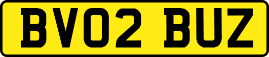 BV02BUZ