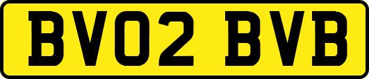 BV02BVB