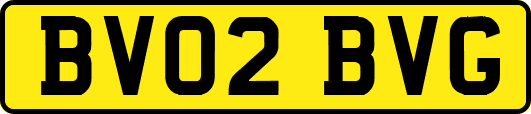 BV02BVG