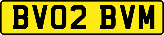 BV02BVM