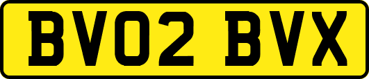 BV02BVX