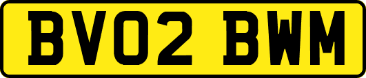 BV02BWM