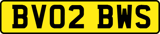 BV02BWS