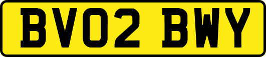 BV02BWY