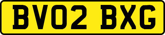 BV02BXG