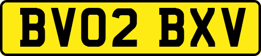 BV02BXV