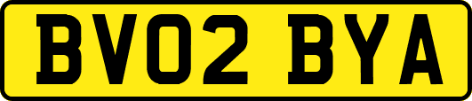 BV02BYA