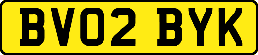 BV02BYK