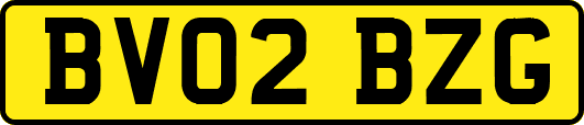 BV02BZG