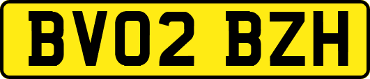 BV02BZH