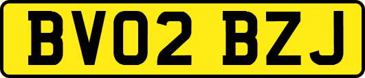 BV02BZJ
