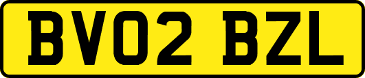 BV02BZL