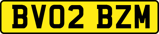 BV02BZM