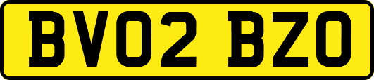 BV02BZO