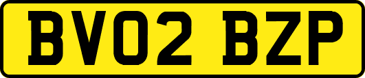 BV02BZP