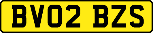 BV02BZS