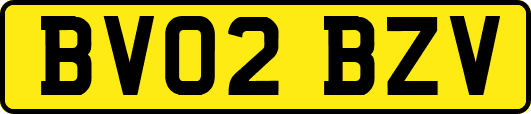 BV02BZV