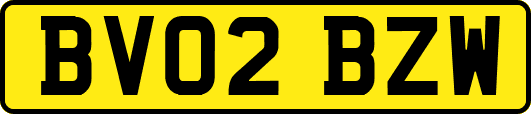 BV02BZW