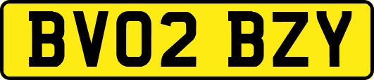 BV02BZY