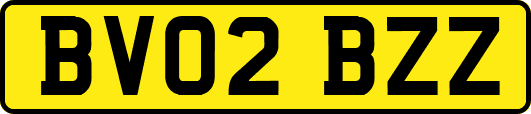 BV02BZZ