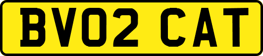 BV02CAT