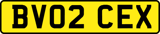 BV02CEX