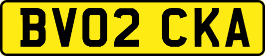 BV02CKA