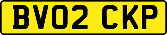 BV02CKP