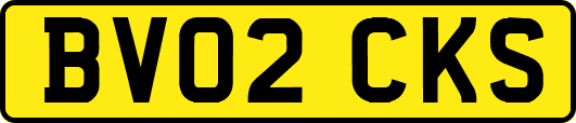 BV02CKS