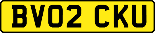 BV02CKU