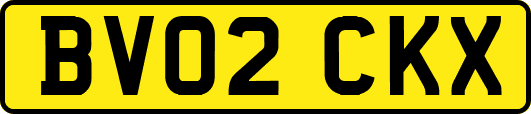 BV02CKX