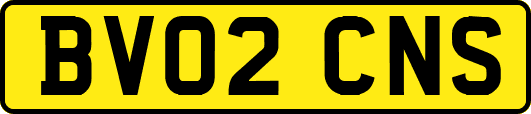 BV02CNS