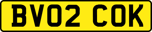 BV02COK