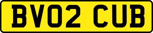 BV02CUB