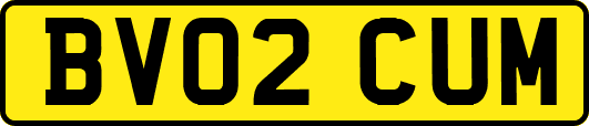 BV02CUM