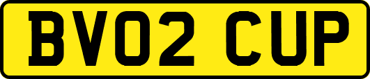 BV02CUP