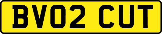BV02CUT