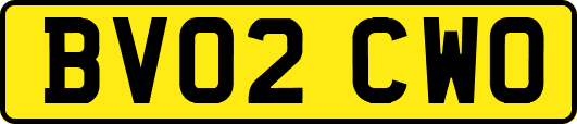 BV02CWO