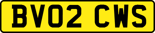 BV02CWS