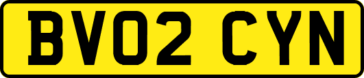BV02CYN