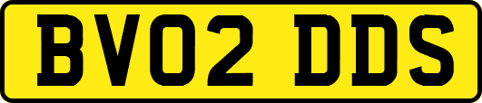 BV02DDS