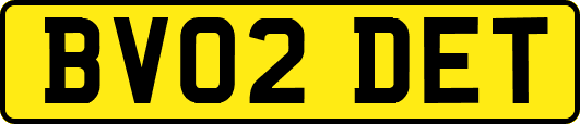 BV02DET
