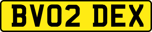 BV02DEX