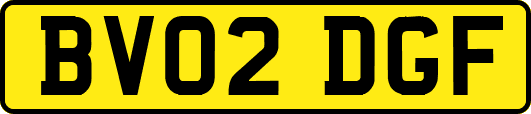 BV02DGF