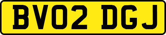 BV02DGJ