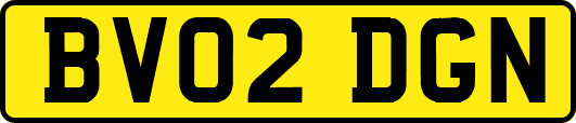 BV02DGN