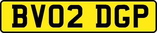 BV02DGP