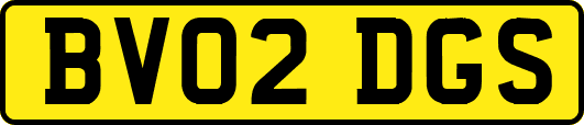 BV02DGS
